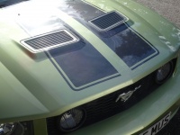 Ford Mustang GT Hood