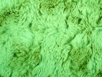 Green Fur Background