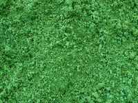 Green Powder Background