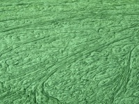 Green Wavy Lines Background