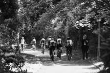 Group Of Cyclists