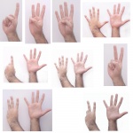 Hand Expressions 2