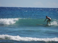 Hawaiian Surfer 1