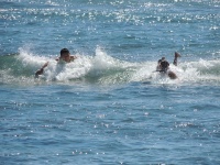 Hawaiian Surfer 3