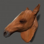 Horse Head 1
