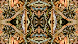 Kaleidoscope Leaves Background 3