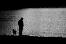 Man, Dog And Water Surface