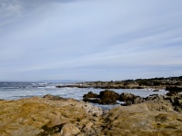 Ocean Landscape