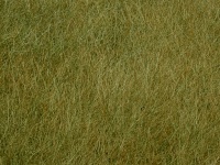 Olive Green Texture Background