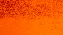 Orange Fading Background