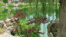 Oriental Pond