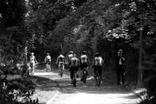 Platoon Of Cyclists