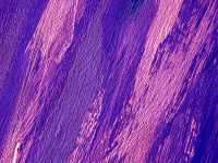 Purple Brush Strokes