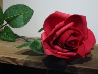 Red Rose On A Shelf