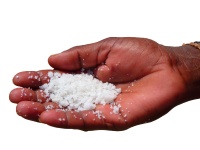 Salt In The Hand