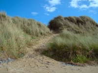 Shortcut Through The Dunes