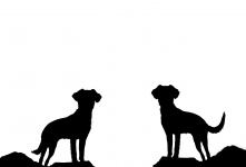 Silhouette Of Dog