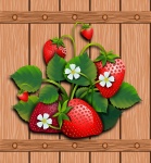 Strawberries In Wood Board