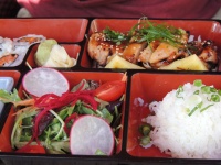 Sushi Bento Box