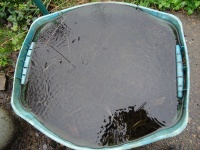 Teal Bucket Being Filled With Water