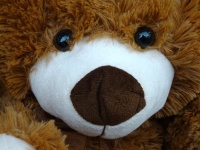 Teddy Bears Face