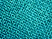 Turquoise Netting Pattern