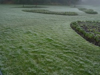 Winter Frost On Grass