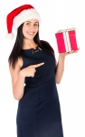 Woman With A Christmas Gift
