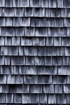 Wooden Shingles Background