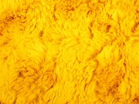 Yellow Fur Background