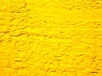 Yellow Painted Coarse Wood