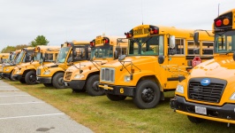 Yellow School Buses