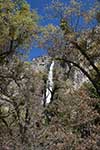 Yosemite Falls, View From The Trees