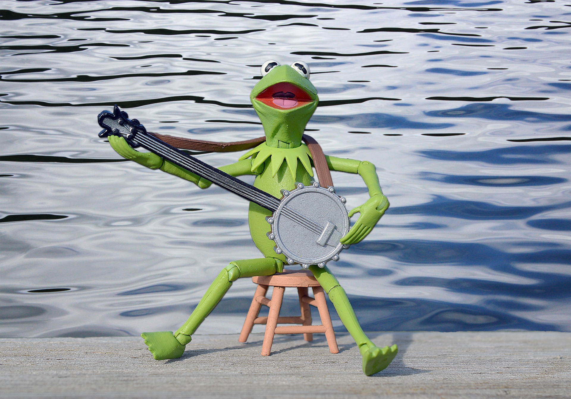 Frog playing banjo by the waters edge
