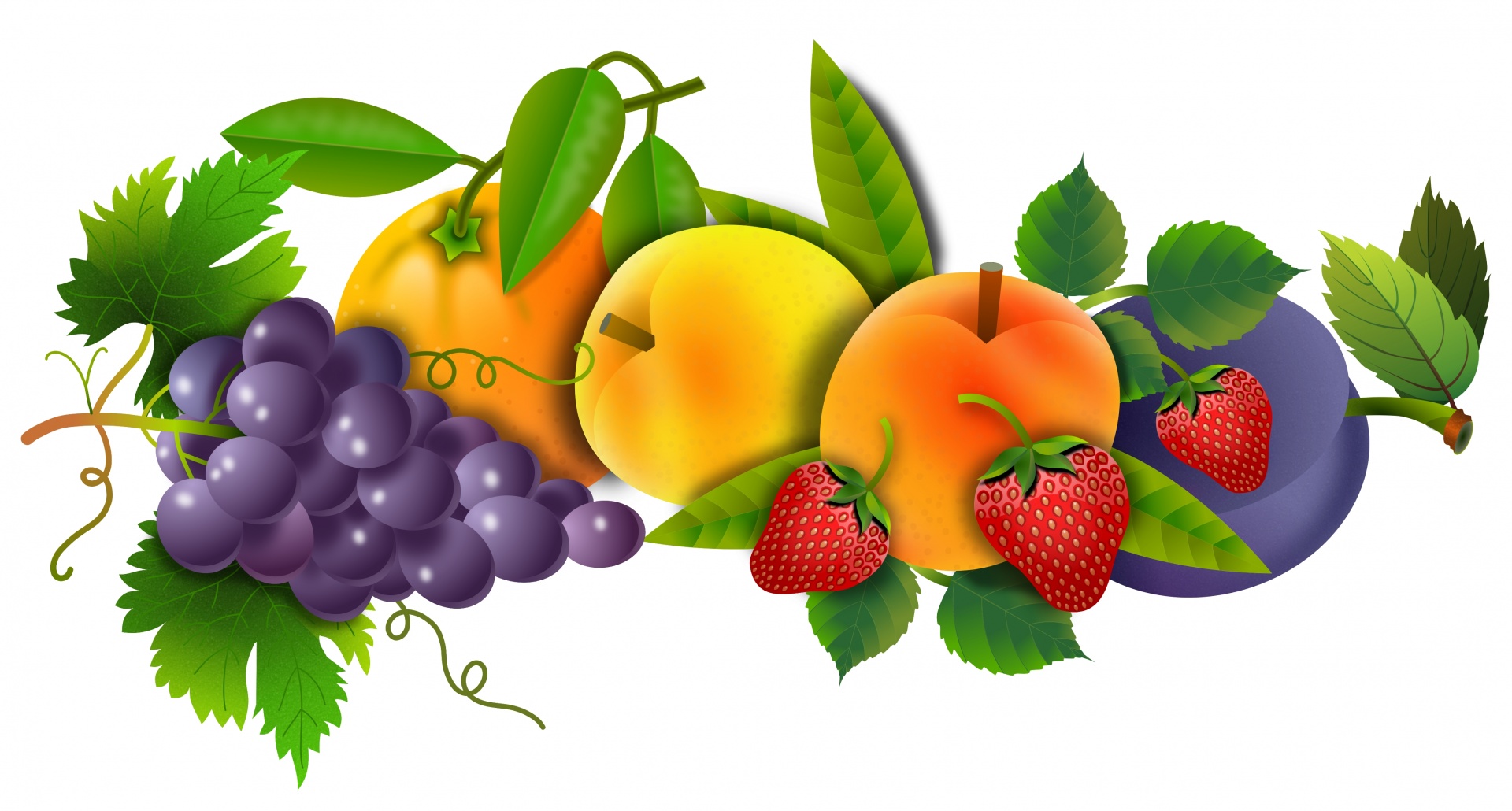 Fruits Group