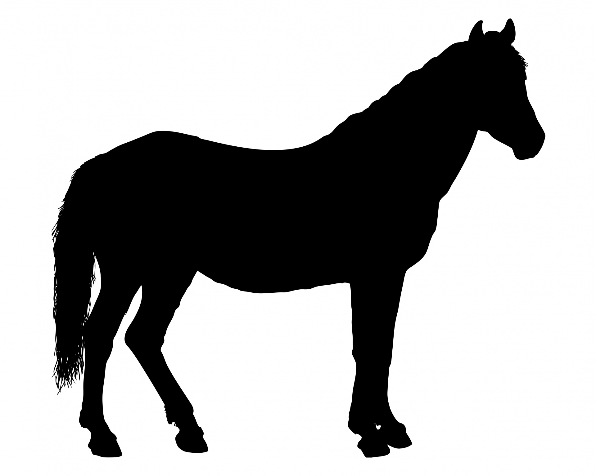 Black silhouette of a horse on white background