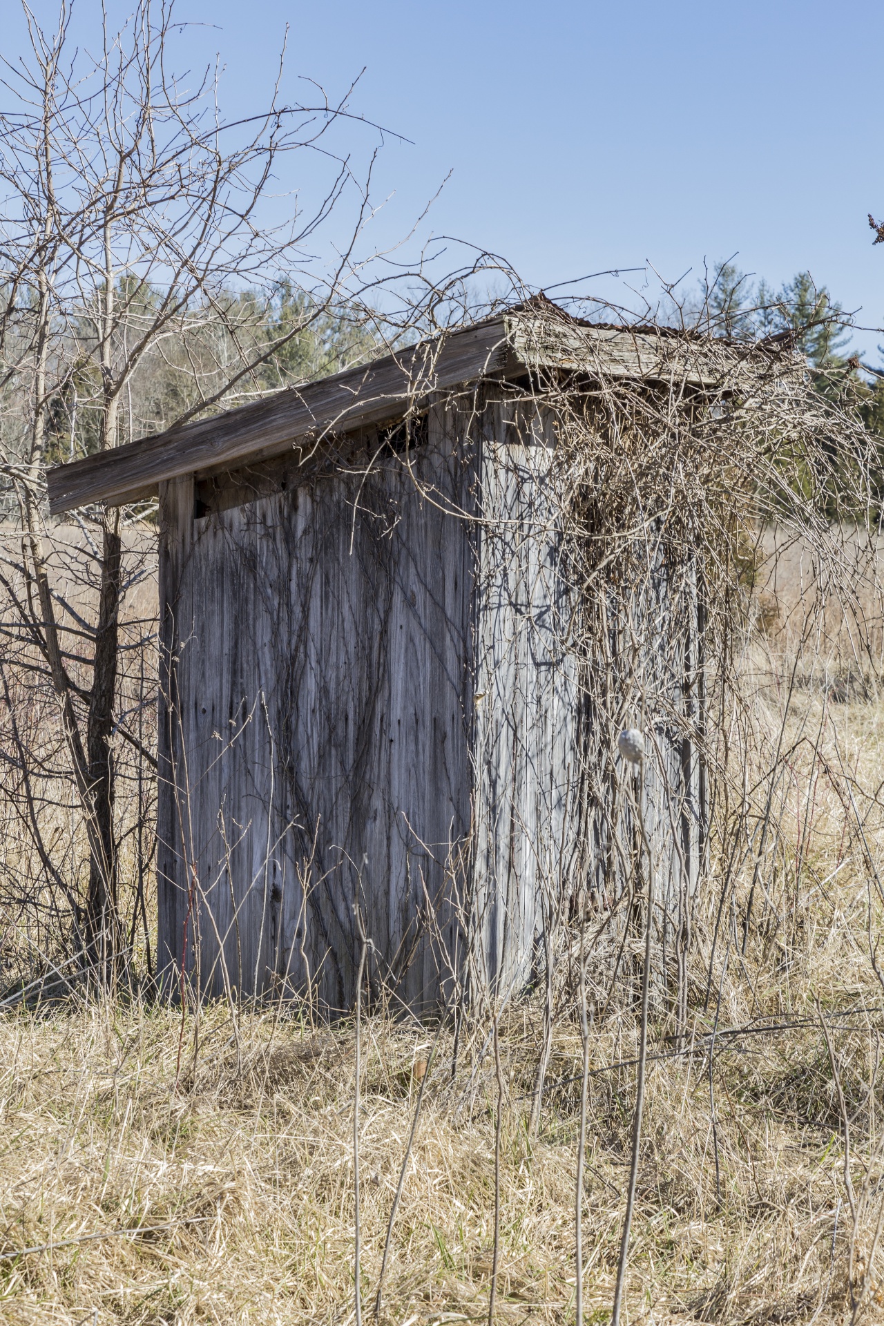 Outhouse house in Rural America
