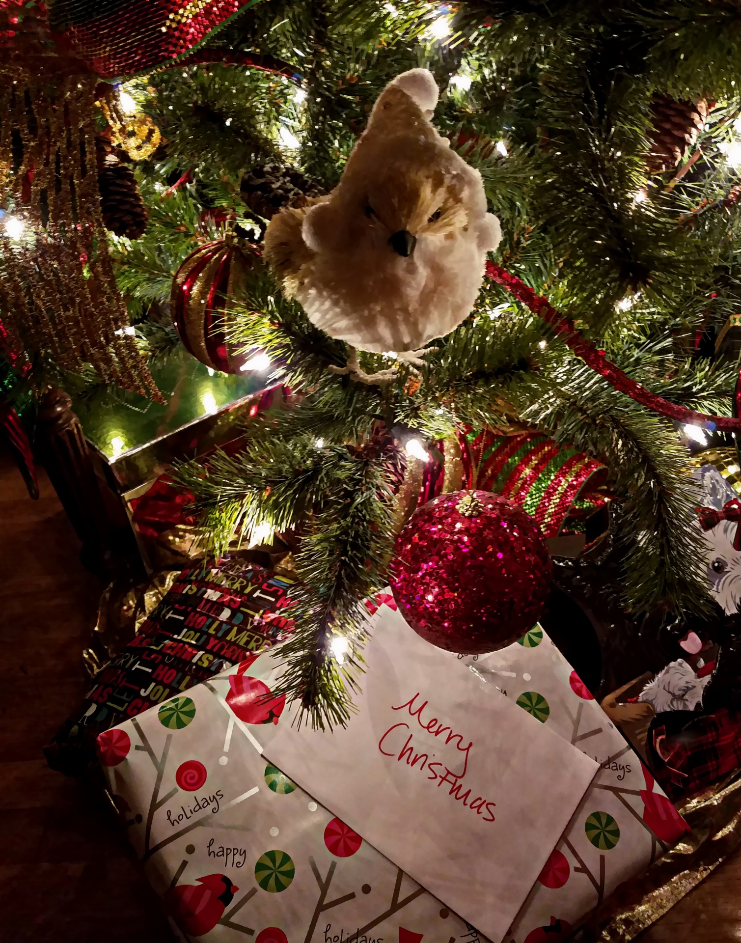Present Under The Christmas Tree