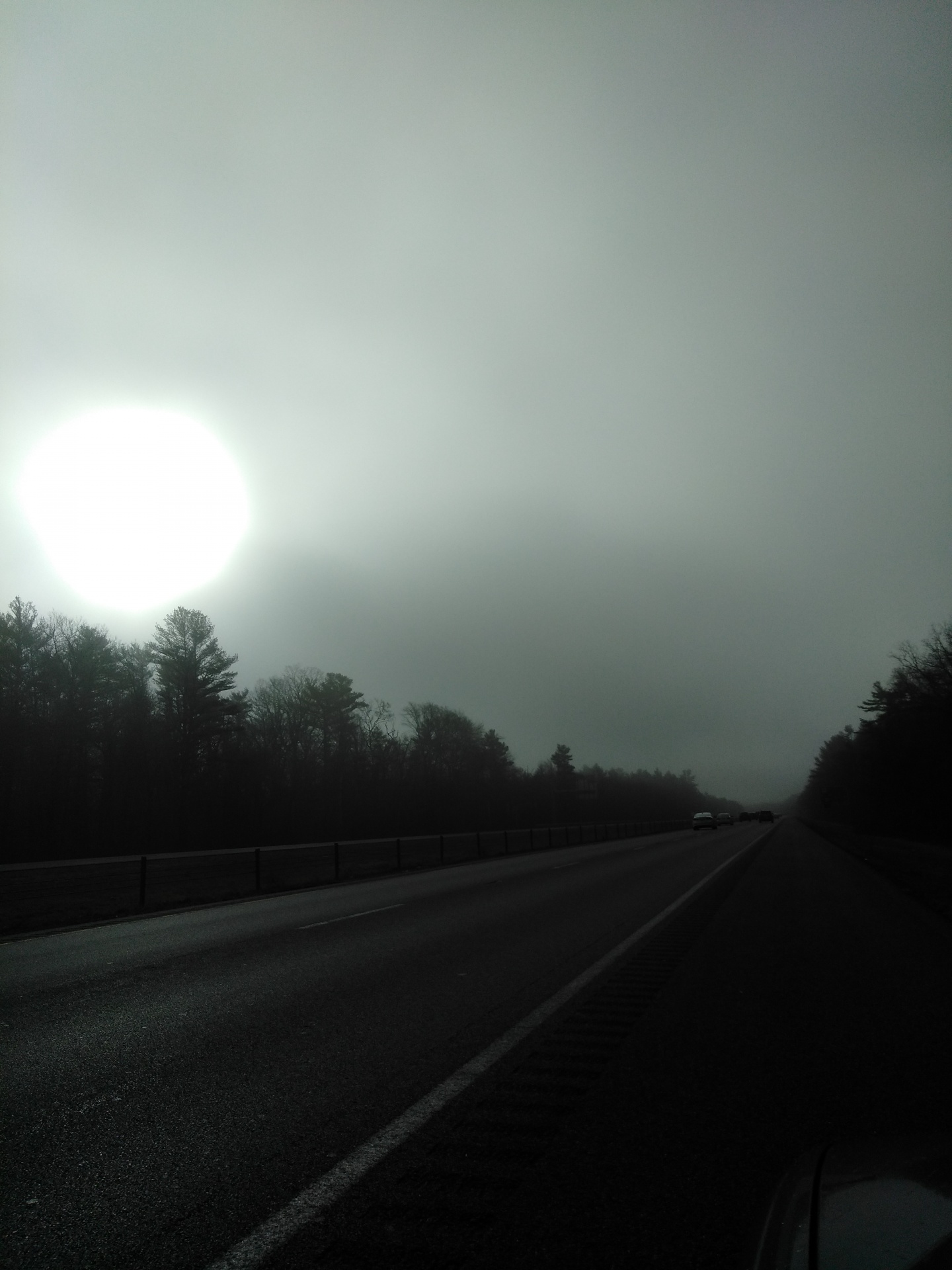 Sun In The Fog