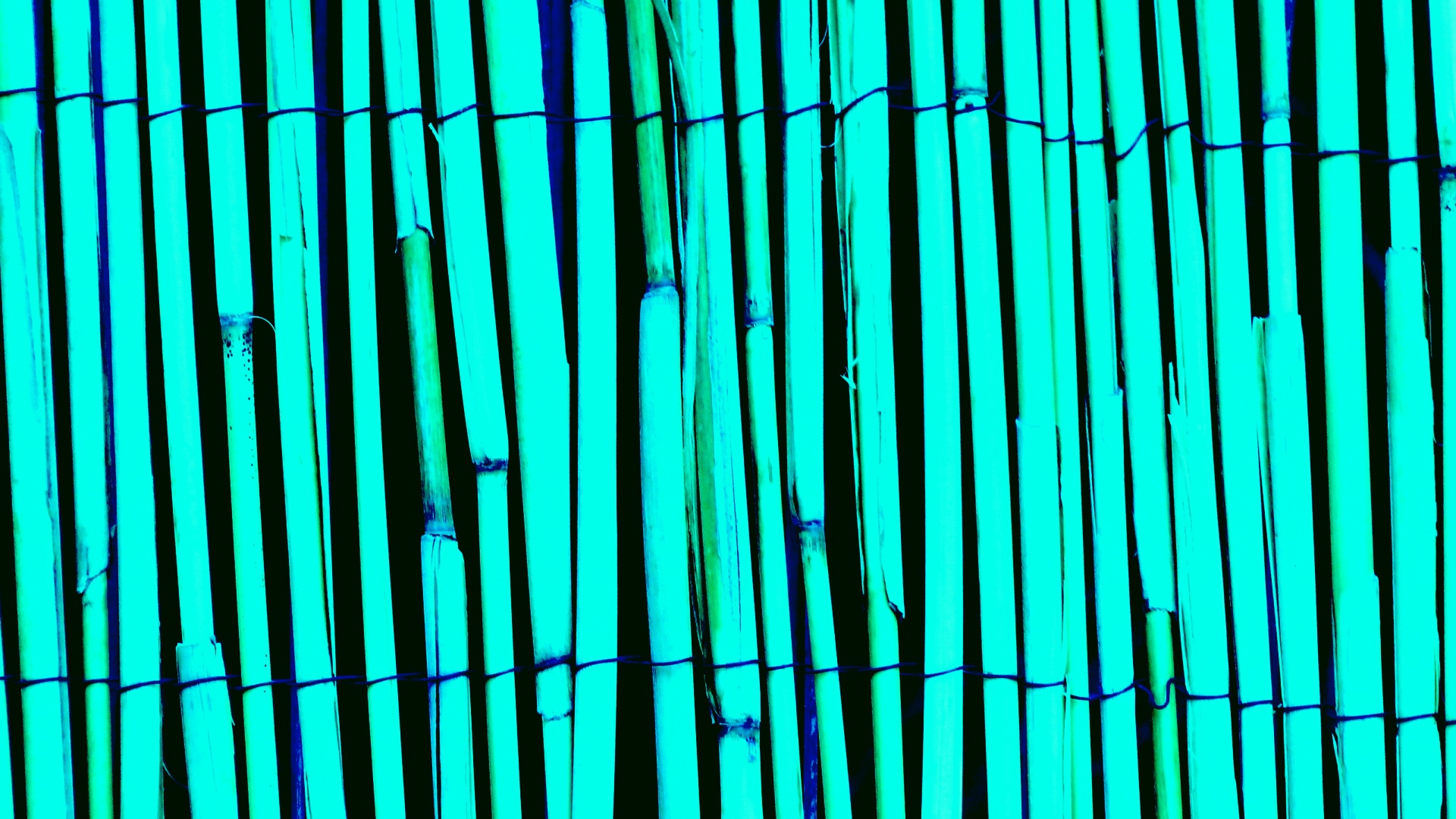 Turquoise Bamboo Wood Background