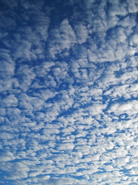 Flocky Clouds Spread Across Sky Free Stock Photo - Public Domain Pictures