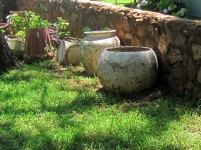 Abandoned Garden Pots