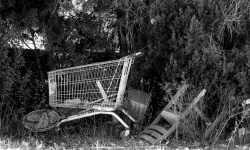Abandoned Supermarket Trolley