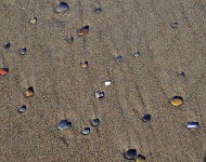 Beach Pebble Background