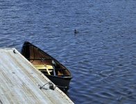 Canoe And Duck