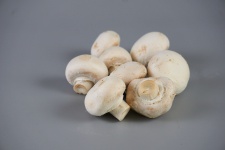 Mushrooms Of Paris