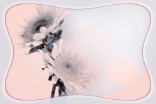 Classic Floral Frame Background
