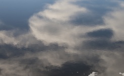 Clouds Reflecting In Pond Water