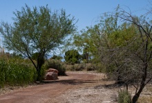 Desert Path
