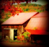 Dreamy Autumn Barns